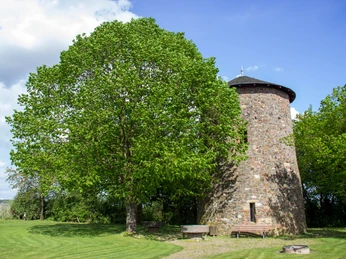Mühle mit Baum 2019 Frühling Wachtberg