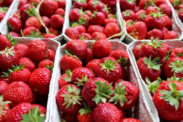 Wochenmarkt Steyerberg Frische Erdbeeren in Pappschalen präsentieren eine reiche, leuchtend rote Ernte auf dem Markt.