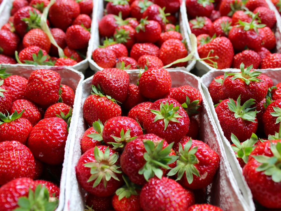 Wochenmarkt Steyerberg Frische Erdbeeren in Pappschalen präsentieren eine reiche, leuchtend rote Ernte auf dem Markt.