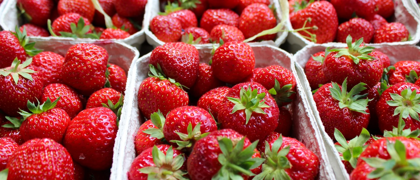 Wochenmarkt Steyerberg Frische Erdbeeren in Pappschalen präsentieren eine reiche, leuchtend rote Ernte auf dem Markt.