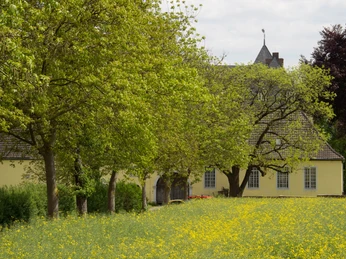 Schloss im Grünen 2018 Alfter bewegt