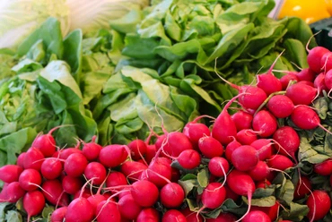 Wochenmarkt Lahde Frisches rotes Radieschen-Bündel vor üppigen Spinatblättern auf einem Wochenmarkt in Lahde.