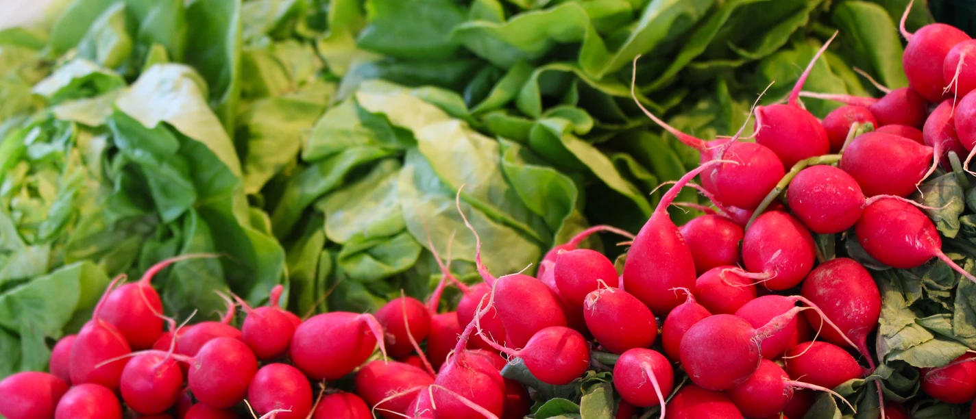 Wochenmarkt Lahde Frisches rotes Radieschen-Bündel vor üppigen Spinatblättern auf einem Wochenmarkt in Lahde.