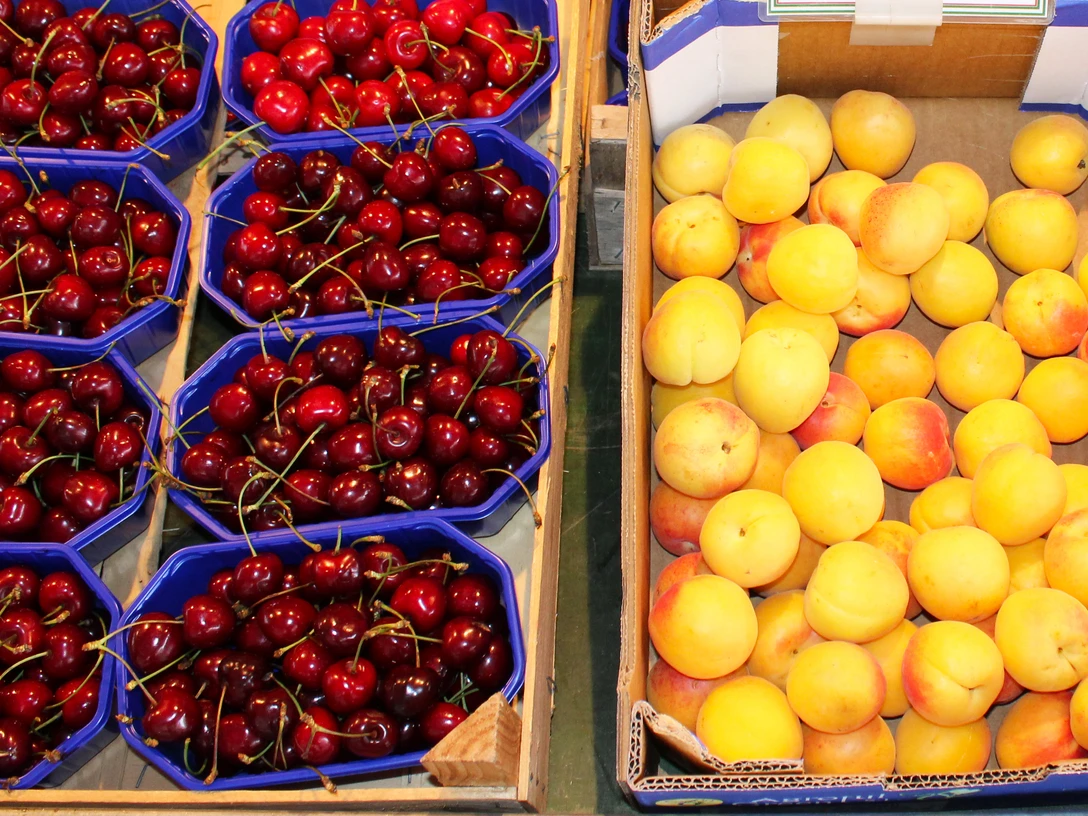 Frische rote Kirschen und reife gelbe Aprikosen in Behältern auf einem Marktstand bei Tageslicht.