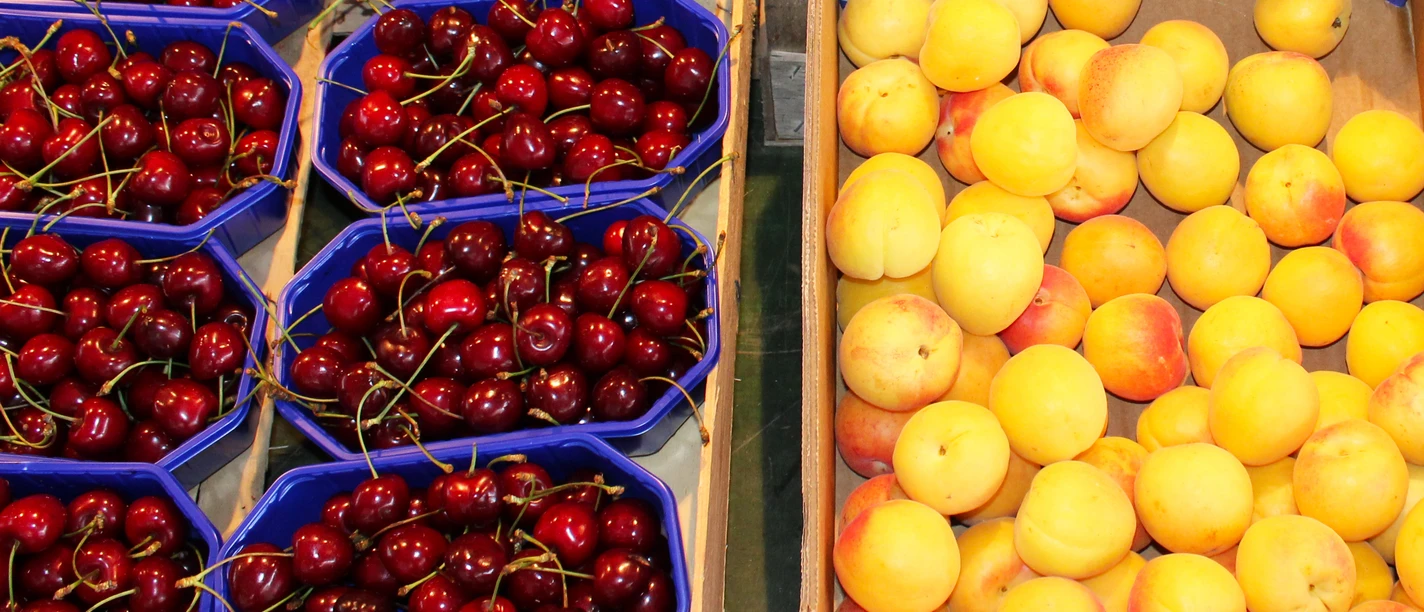 Verse rode kersen en rijpe gele abrikozen in bakjes op een marktkraam bij daglicht.