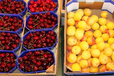 Wochenmarkt Uchte Frische rote Kirschen und reife gelbe Aprikosen in Behältern auf einem Marktstand bei Tageslicht.