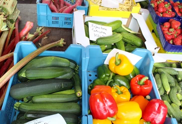 Wochenmarkt Hoya Frisches Obst und Gemüse auf einem belebten Marktstand mit Zucchini, Paprika und Erdbeeren.
