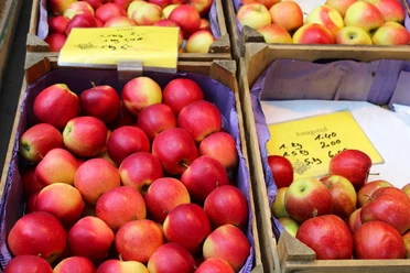Wochenmarkt Petershagen Frische und leuchtend rote Äpfel in Holzkisten, arrangiert auf dem Wochenmarkt in Petershagen.