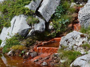 Rote Quelle Grimmiwasser