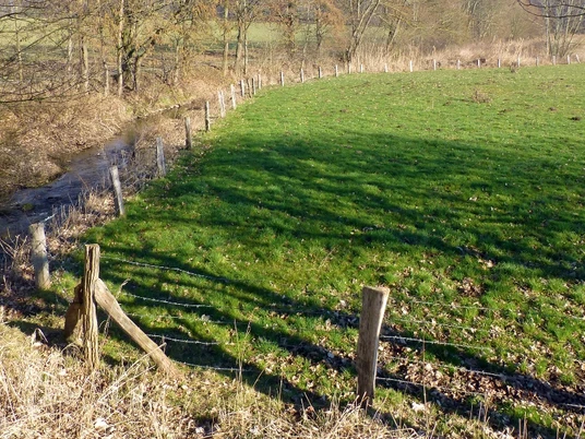 Renaturierung Bolldammbach Ein kleiner Bach fließt entlang eines Zauns über eine grüne, grasbewachsene Wiese.