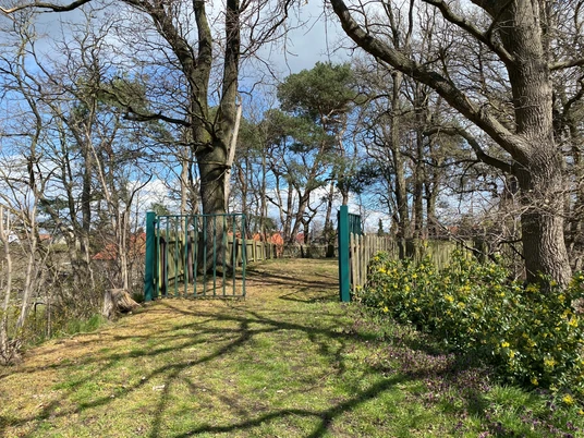 Jüdischer Friedhof Rehburg Eingangstor zu einem historischen Friedhof, umgeben von hohen Bäumen und blühender Vegetation.