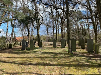 Alter Jüdischer Friedhof in Rehburg; von Bäumen umgeben, mit historischen Grabsteinen aus Stein.