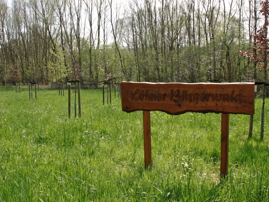 Holztafel im Vordergrund auf einer grünen Wiese, umgeben von jungen Bäumen im Löhner Bürgerwald.