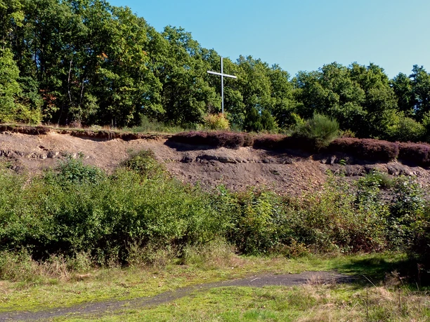 Spatzenberg Waldreicher Hang mit Kreuz am Spatzenberg, umgeben von ĂĽppigem GrĂĽn und klarem Himmel.