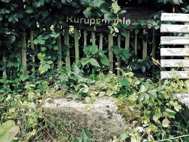 RĂĽrupsmĂĽhle Die von Pflanzen umwucherte RĂĽrupsmĂĽhle mit einem verwitterten Holzzaun im Hintergrund.