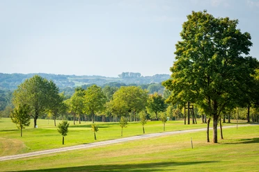 Golfplatz Burg Overbach Landschaft mit gepflegtem grünen Rasen, mehreren Bäumen und einem geschwungenen Weg unter blauem Himmel.