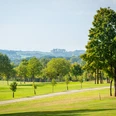 Golfplatz Burg Overbach Landschaft mit gepflegtem grünen Rasen, mehreren Bäumen und einem geschwungenen Weg unter blauem Himmel.
