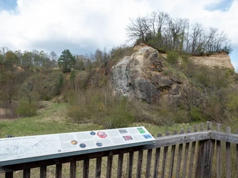 Aussicht ins Naturschutzgebiet Dächelsberg
