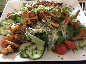 Salat mit Pfifferlingen Pfifferlingsalat mit Frühlingszwiebeln, Gurken, Tomaten und Kräutern auf rechteckigem weißen Teller.