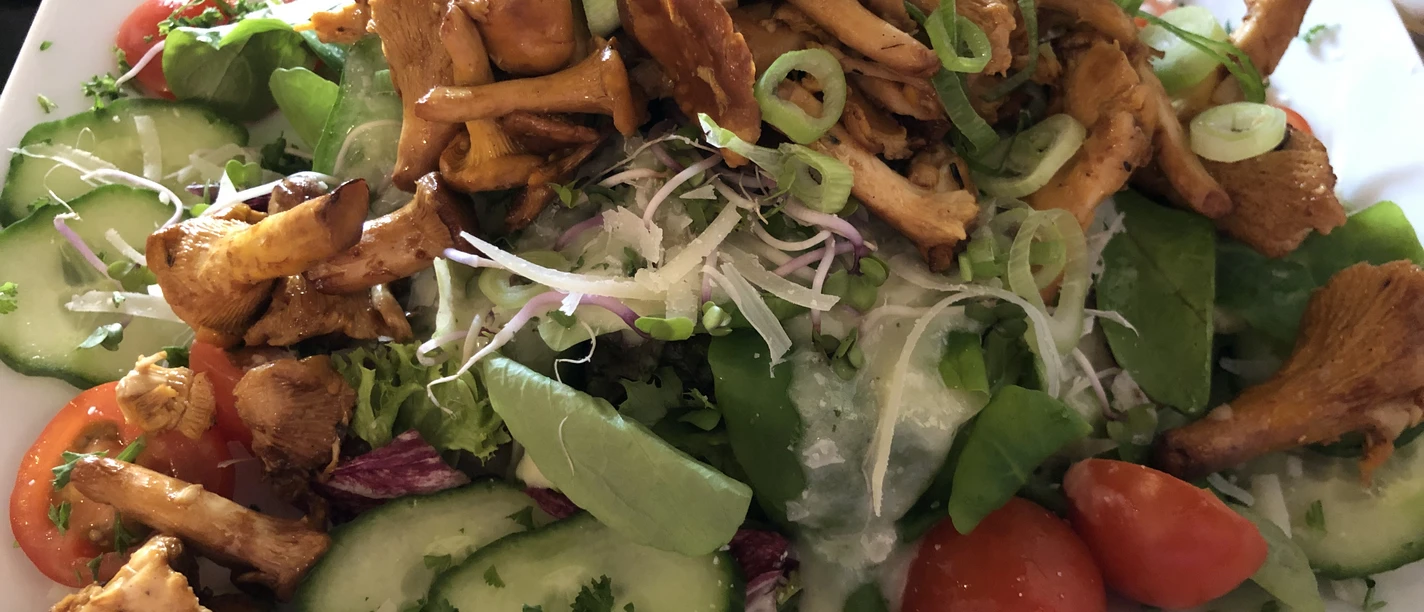 Salat mit Pfifferlingen Pfifferlingsalat mit Frühlingszwiebeln, Gurken, Tomaten und Kräutern auf rechteckigem weißen Teller.