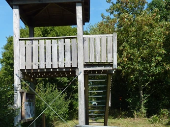 Aussichtsturm mit hölzerner Plattform und Stufen, umgeben von grüner Vegetation bei sonnigem Wetter.