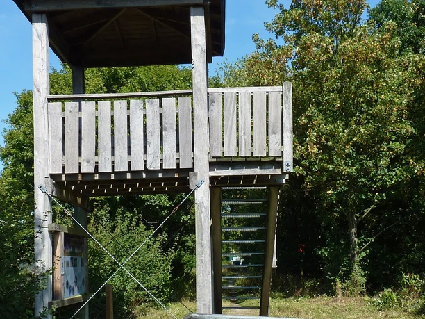 Aussichtsturm mit hölzerner Plattform und Stufen, umgeben von grüner Vegetation bei sonnigem Wetter.
