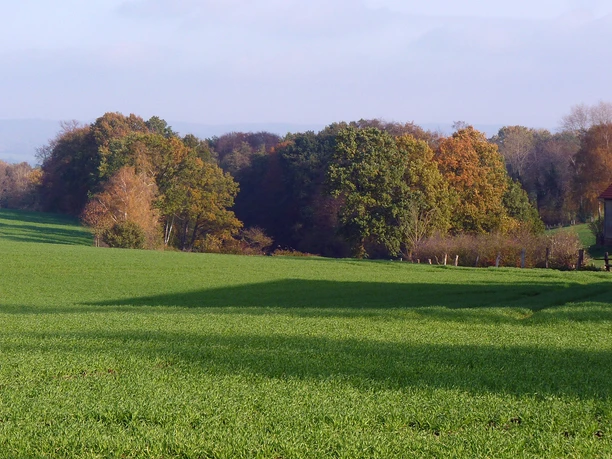 NSG Sudbachtal Eine weitläufige Wiese im Sudbachtal, gesäumt von herbstbunten Bäumen und einem alleinstehenden Haus.