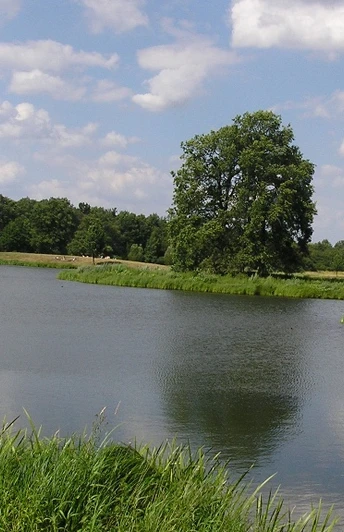 Kleihügelsee Kleihügelsee in natürlicher Umgebung, umgeben von Bäumen, mit blauem Himmel und weißen Wolken.