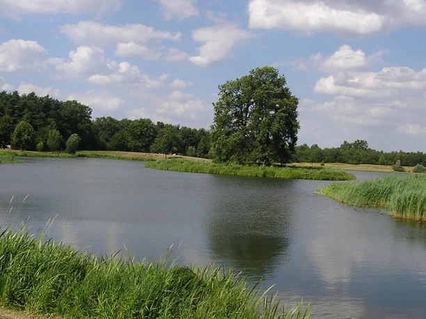 Kleihügelsee Kleihügelsee in natürlicher Umgebung, umgeben von Bäumen, mit blauem Himmel und weißen Wolken.