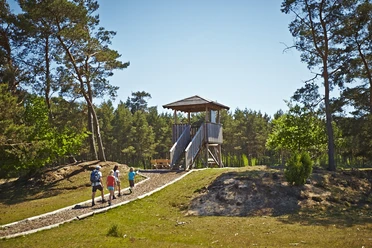Aussichtsturm Lohner Sand.jpg