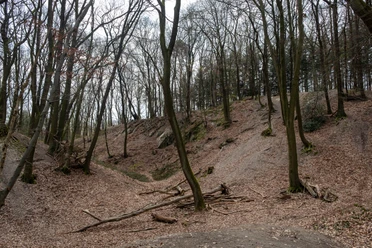 Domsteinbruch Hohenberg