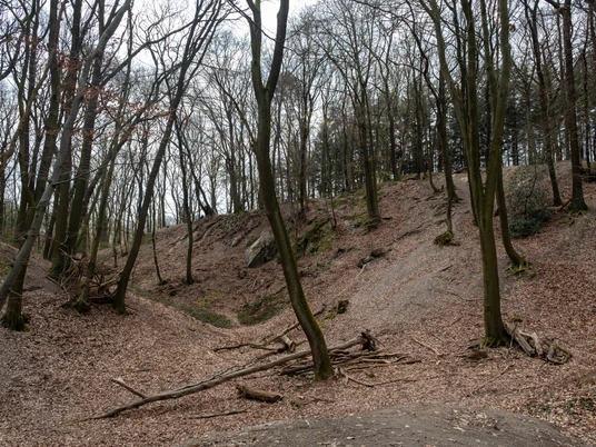 Domsteinbruch Hohenberg