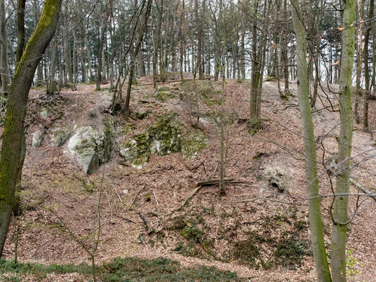 Domsteinbruch Hohenberg