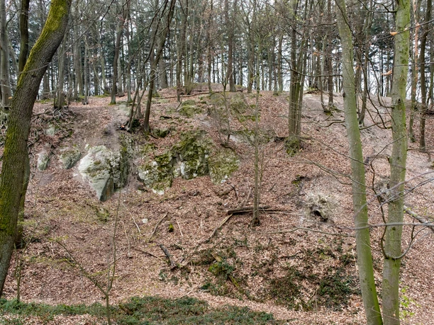 Domsteinbruch Hohenberg