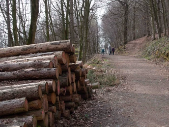 Bergkirchen - Wallücke_Hinweg (c) Sebastian Menacher.jpg