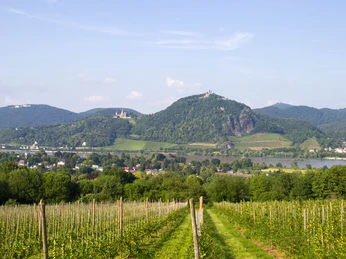 Blick auf das Siebengebirge 2018 Sommer Wachtberg