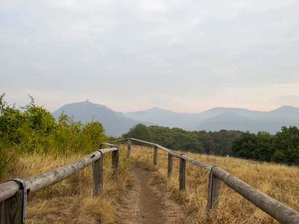 Blick vom Rodderberg 2018 Herbst Wachtberg