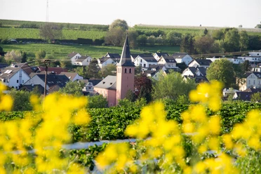 Kirche Heilige Drei Könige 2018 Frühling Wachtberg