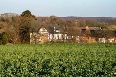 Frühling Wachtberg 2020 Frühling Wachtberg