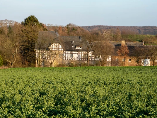 Frühling Wachtberg 2020 Frühling Wachtberg