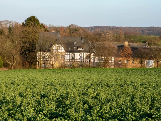 Frühling Wachtberg 2020 Frühling Wachtberg