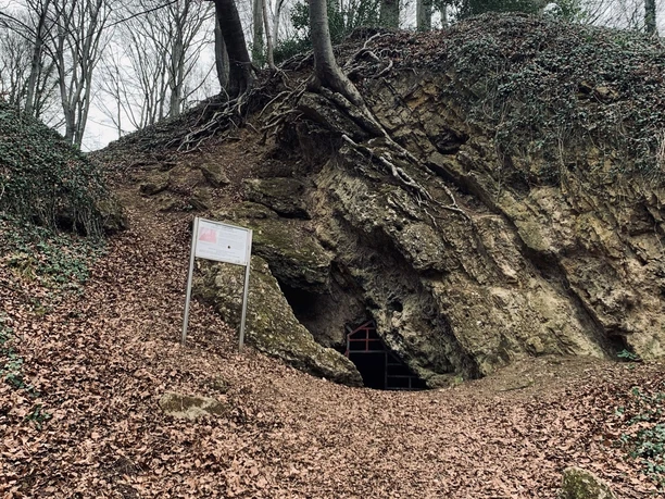 Zwergenhöhle Bergisch Gladbach Ein bewaldeter Hügel mit einem Höhleneingang und einem Schild im Herbst, bedeckt von Laub.