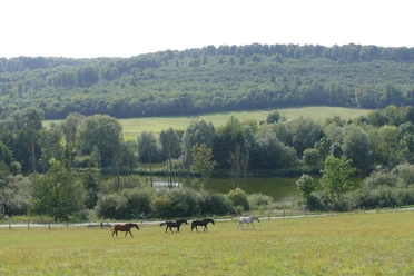 Geopfad_Reitlingstal.jpeg