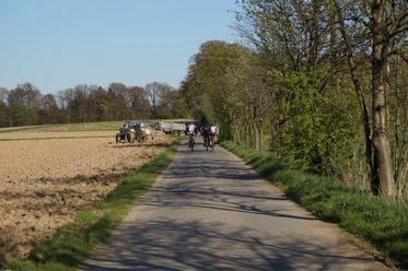 Odenthal Radfahrer auf ländlicher, schmaler Straße, flankiert von Bäumen und Feldern unter blauem Himmel.