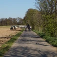 Odenthal Radfahrer auf ländlicher, schmaler Straße, flankiert von Bäumen und Feldern unter blauem Himmel.