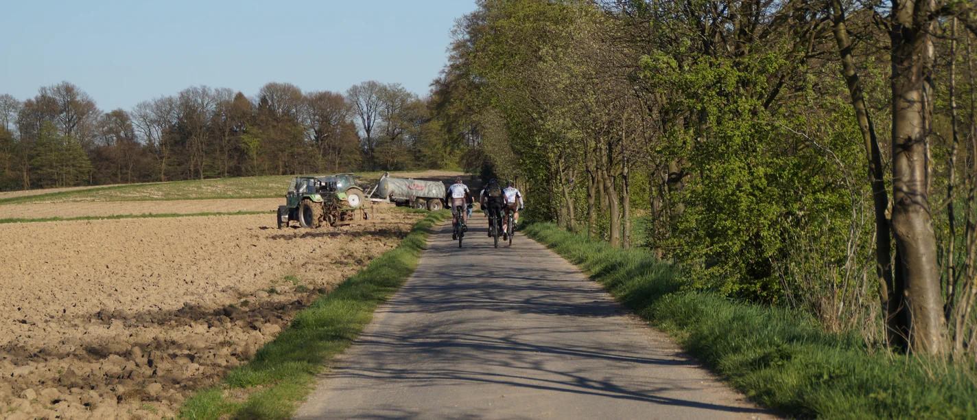 Odenthal Radfahrer auf ländlicher, schmaler Straße, flankiert von Bäumen und Feldern unter blauem Himmel.