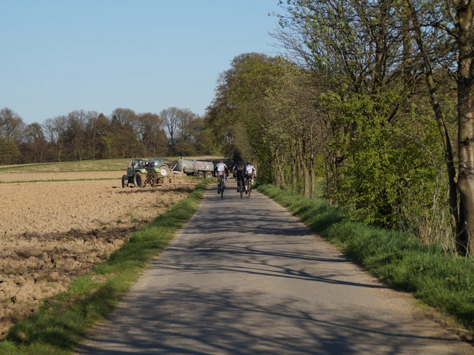 Odenthal Radfahrer auf ländlicher, schmaler Straße, flankiert von Bäumen und Feldern unter blauem Himmel.