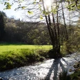 Schwarzpulverroute Odenthal Ein idyllischer Bach fließt durch eine grüne Wiese, gesäumt von Bäumen im Sonnenlicht.