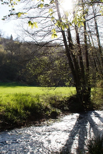 Schwarzpulverroute Odenthal Ein idyllischer Bach fließt durch eine grüne Wiese, gesäumt von Bäumen im Sonnenlicht.