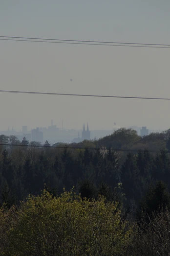Schwarzpulverroute Odenthal.JPG Blick von bewaldetem Hügel auf nebelverhangene Großstadt am Horizont mit erkennbaren Kirchtürmen.